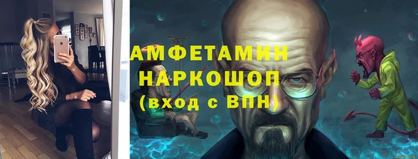 прущие грибы Няндома