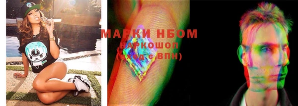 прущие грибы Няндома