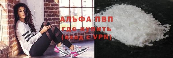 хмурый Новозыбков