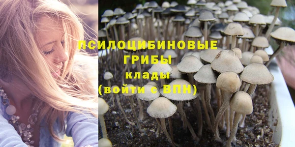прущие грибы Няндома