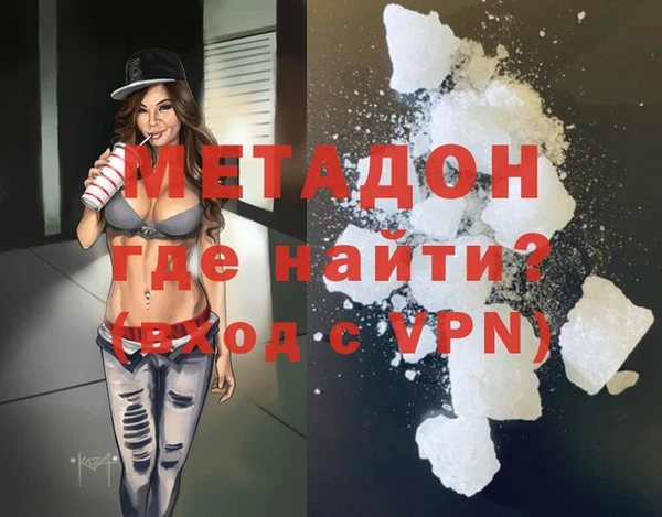 прущие грибы Няндома