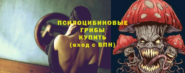 прущие грибы Няндома