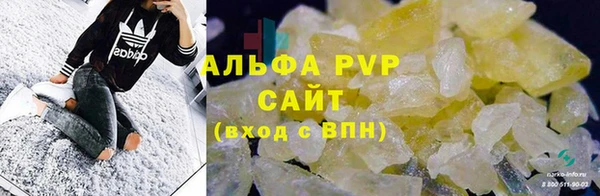 прущие грибы Няндома