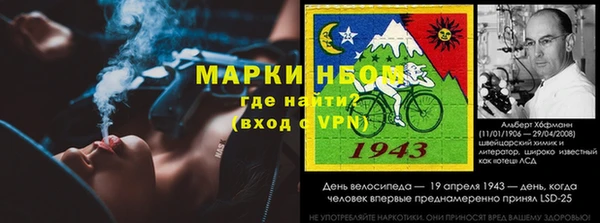 прущие грибы Няндома
