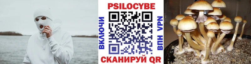 Псилоцибиновые грибы Magic Shrooms  купить  сайты  Зубцов 